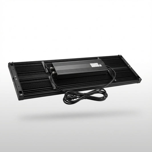 Custom 300w