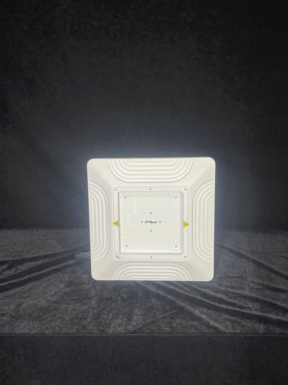 Shineon LED Canopy Light (SIGNA MK2), 150W, 5000K, No Sensor