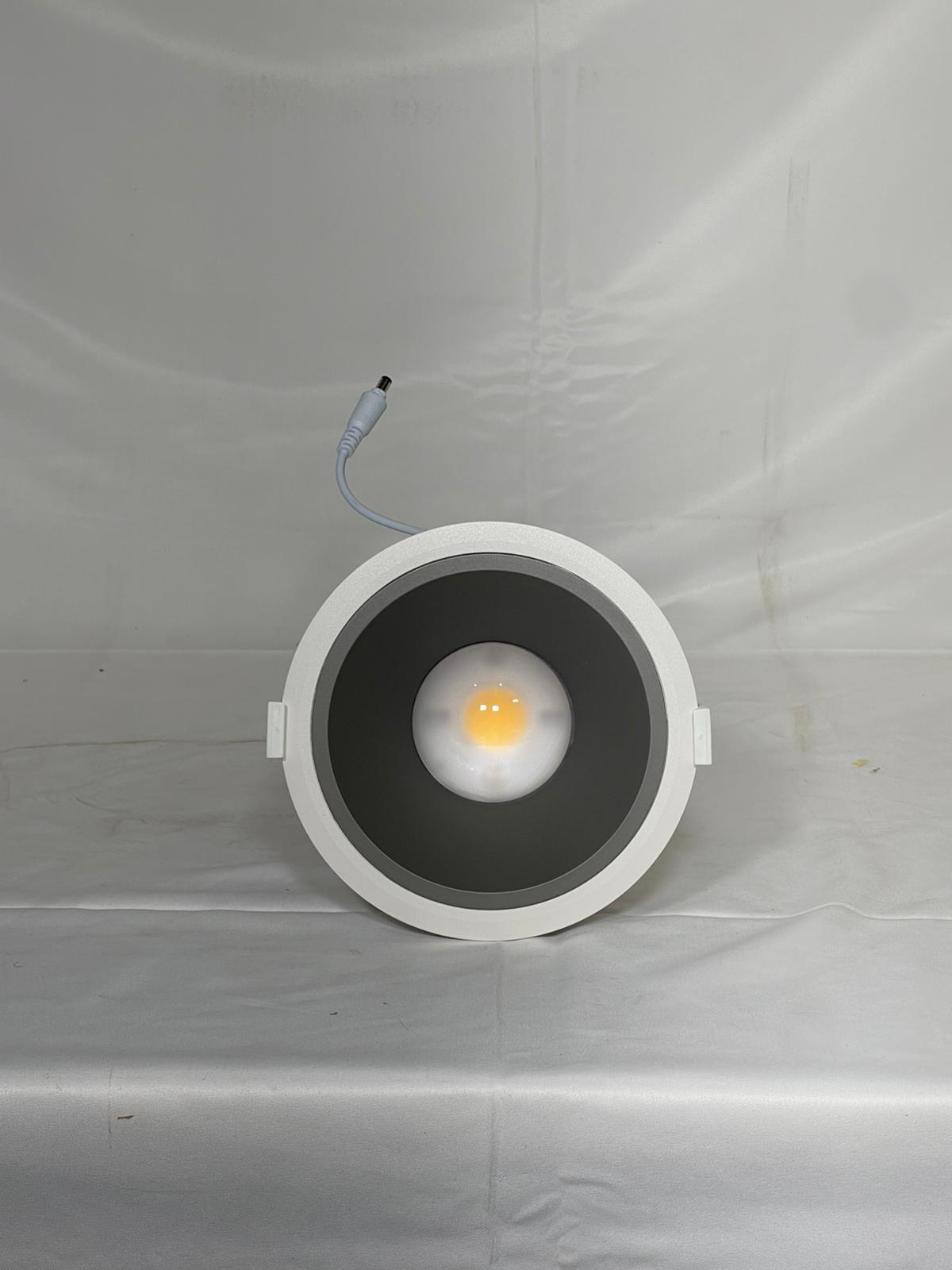 Custom 30w downlight
