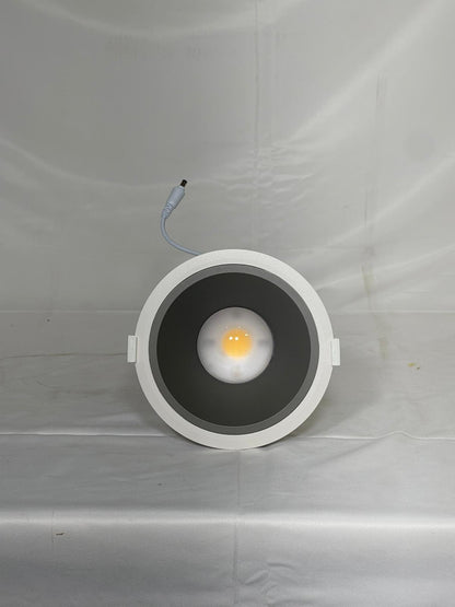 Custom 30w downlight