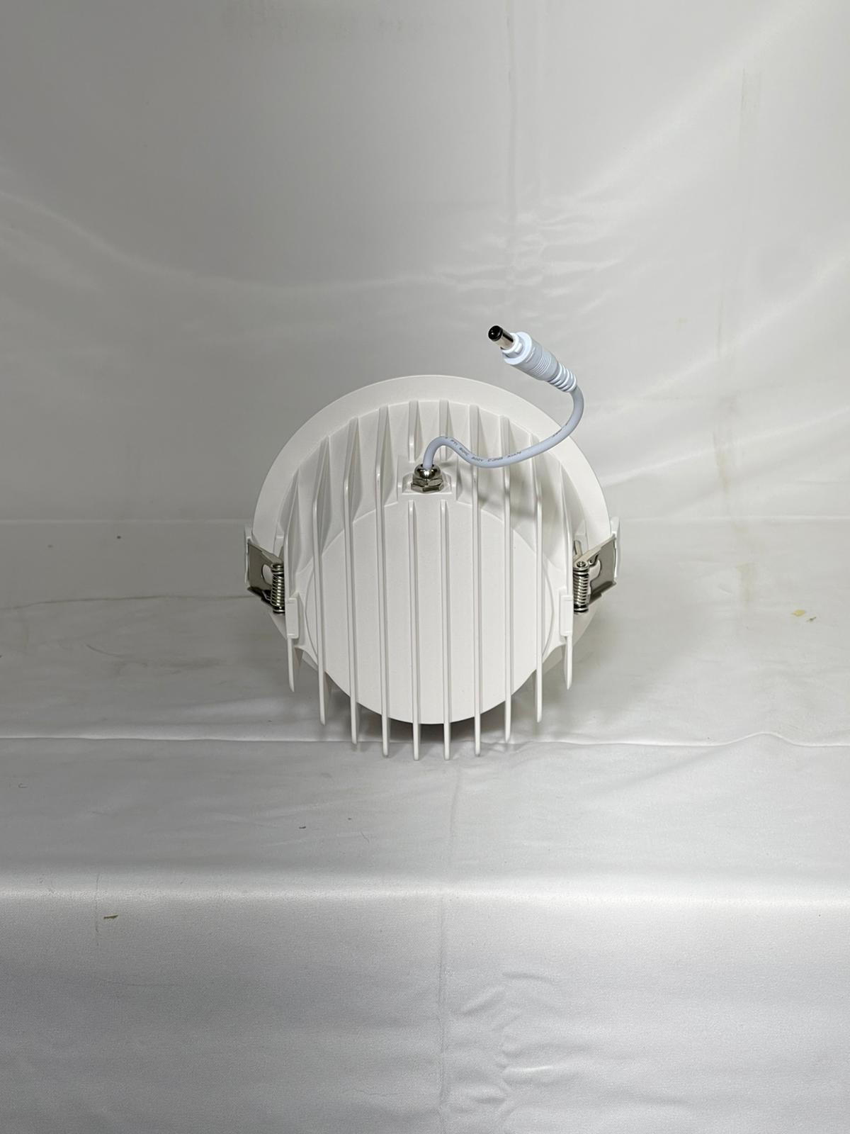 Custom 20w downlight