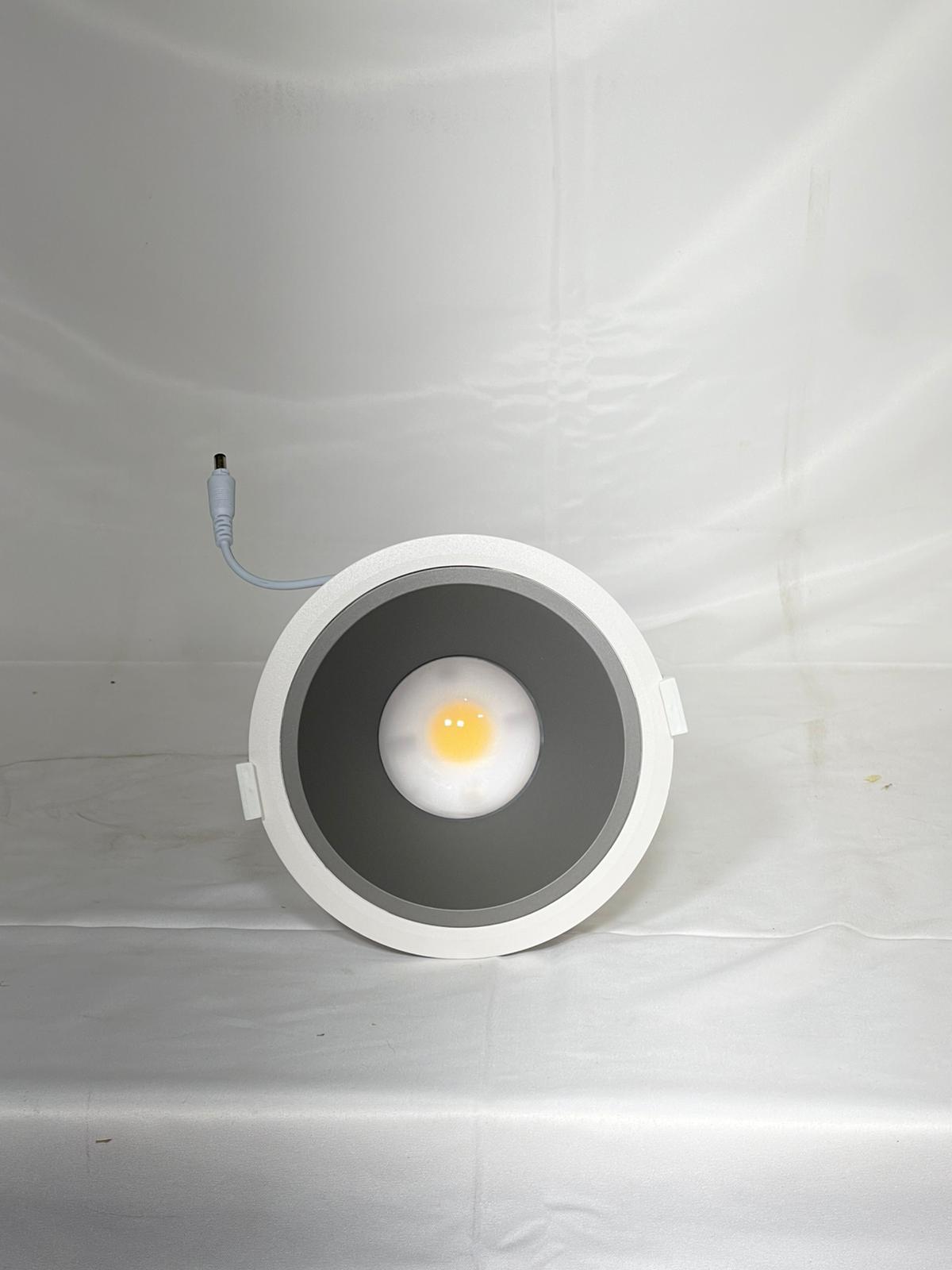Custom 20w downlight
