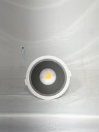 Custom 30w downlight