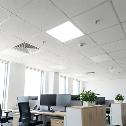 Shineon LED Backlit Panels CCT: 5,000K