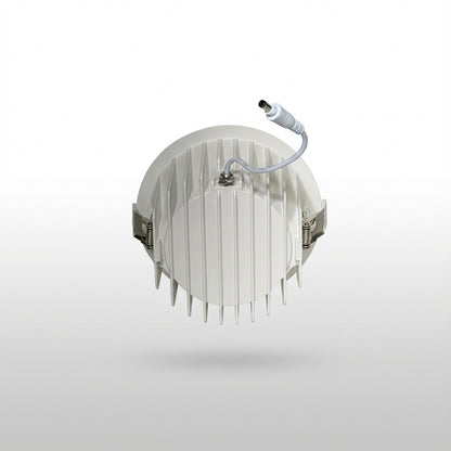 Custom 30w downlight