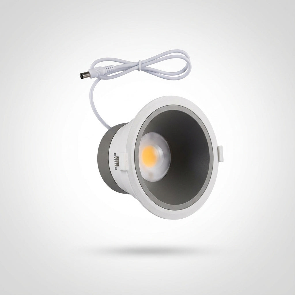 Custom 30w downlight