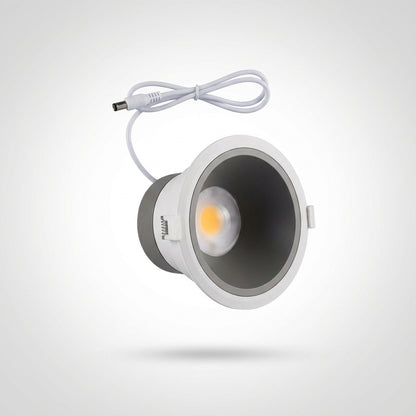 Custom 30w downlight