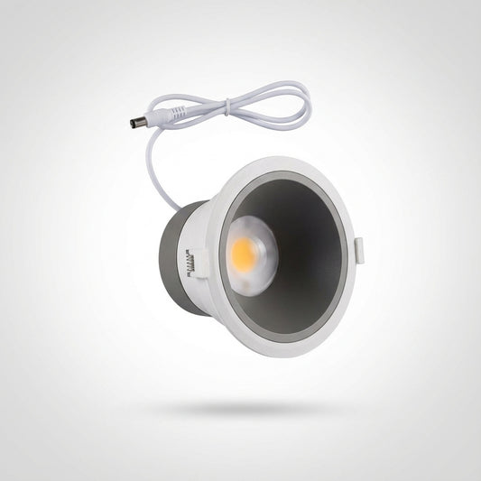 Custom 30w downlight