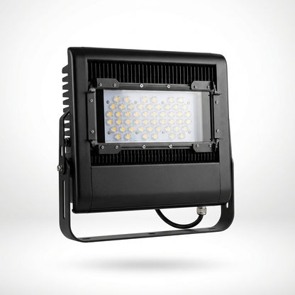 Custom 150w 5 Core