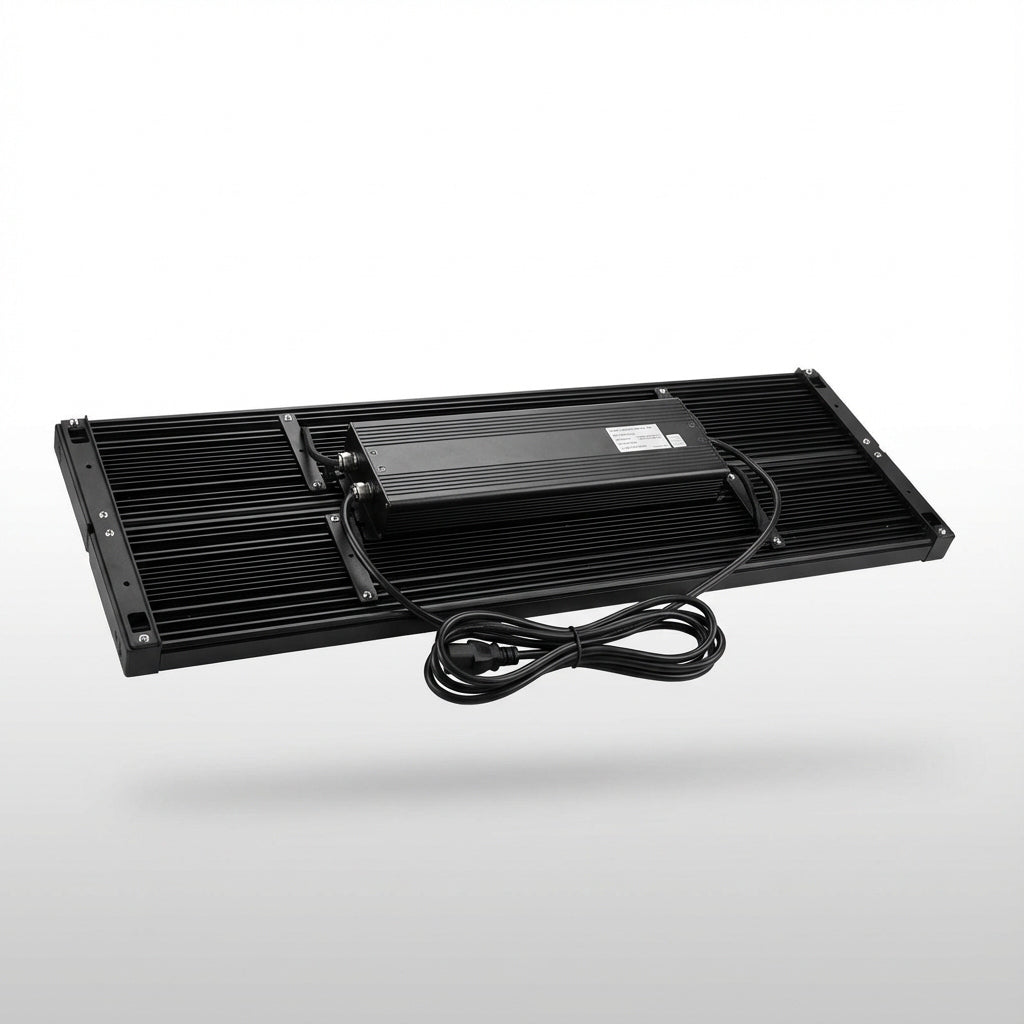 Custom 300w