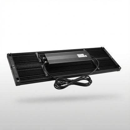 Custom 300w
